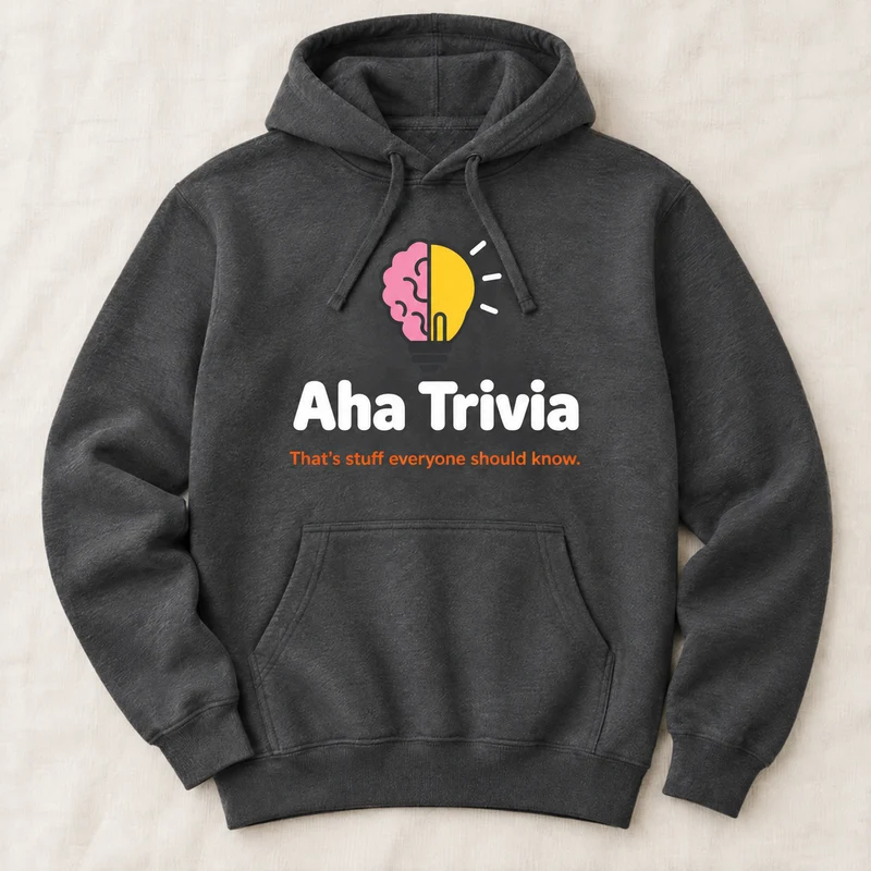 Aha Trivia hoodie (mock-up)